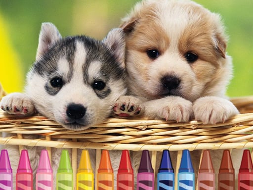 Puppy Coloring Images