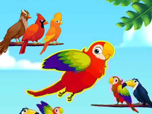 Bongo Whirls 2023 Images